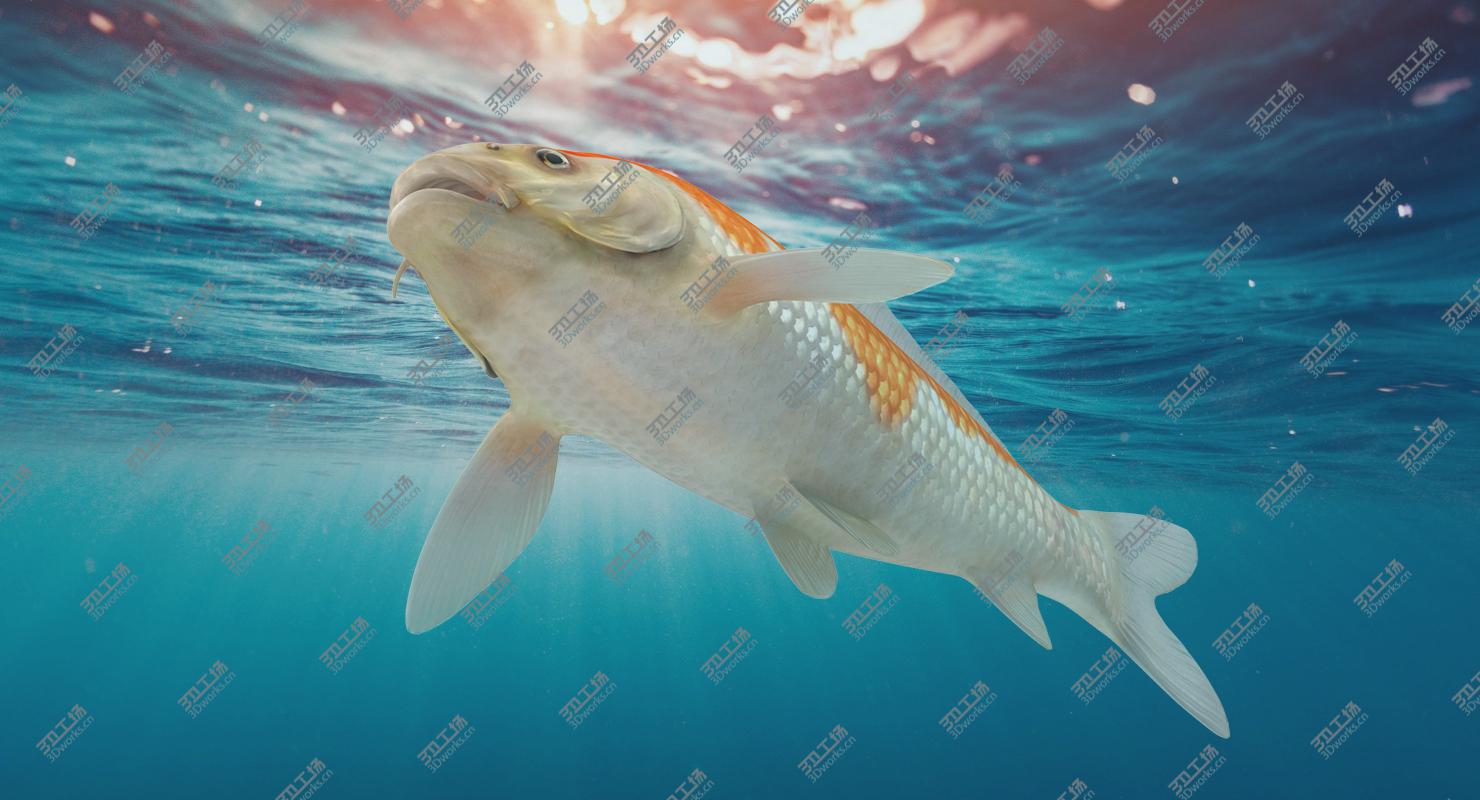 images/goods_img/2021040234/3D model Harivake Koi Fish Rigged for Maya/4.jpg